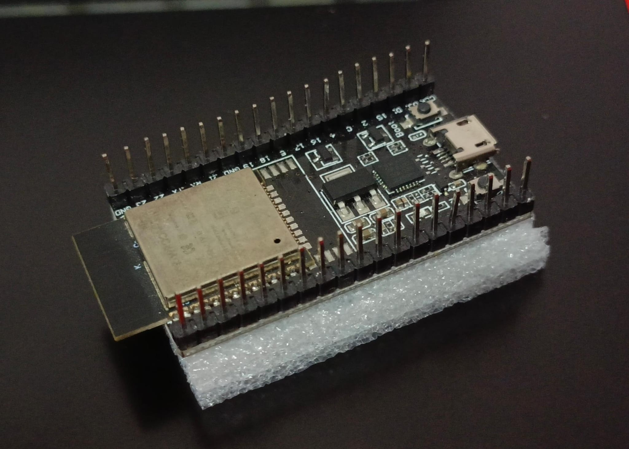 Benim ilk esp yadigarım