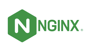 Raspberry PI 5 Nginx ile Web Host